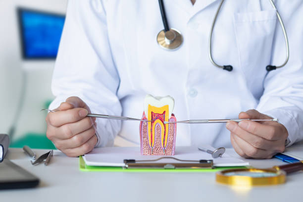 Best Tooth Infection Emergency Dentist  in Blue Ridge, GA